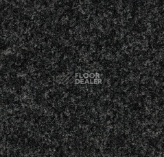 Грязезащитные покрытия Forbo Coral Brush 5710 Asphalt Grey фото 1 | FLOORDEALER